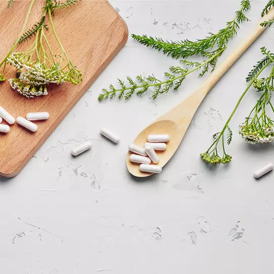 magnesium chloride hexahydrate raw material distributor pharmaceutical industry