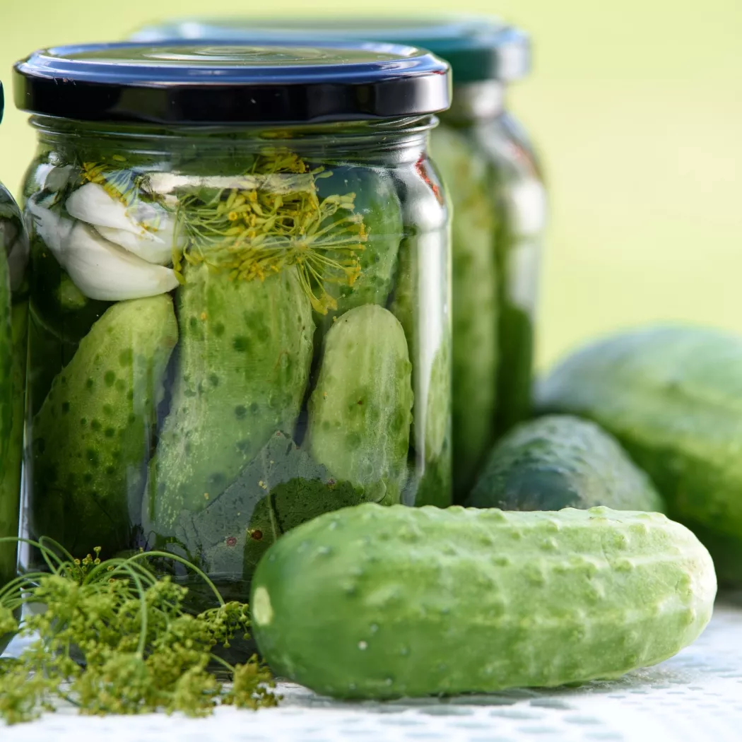 lactic acid in the food industry